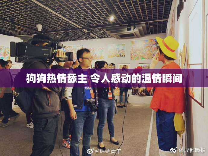 狗狗热情舔主 令人感动的温情瞬间