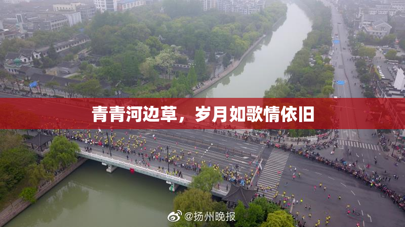 青青河边草，岁月如歌情依旧