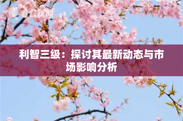 利智三级：探讨其最新动态与市场影响分析