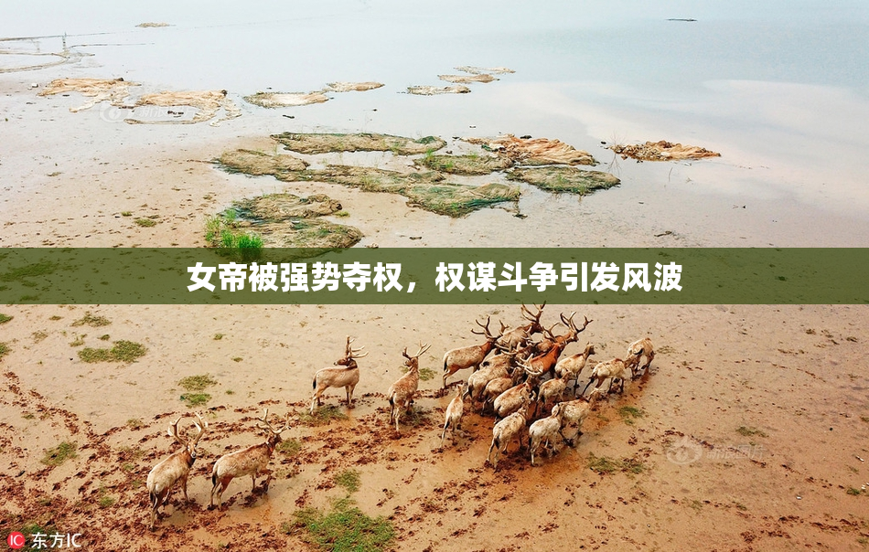 女帝被强势夺权，权谋斗争引发风波