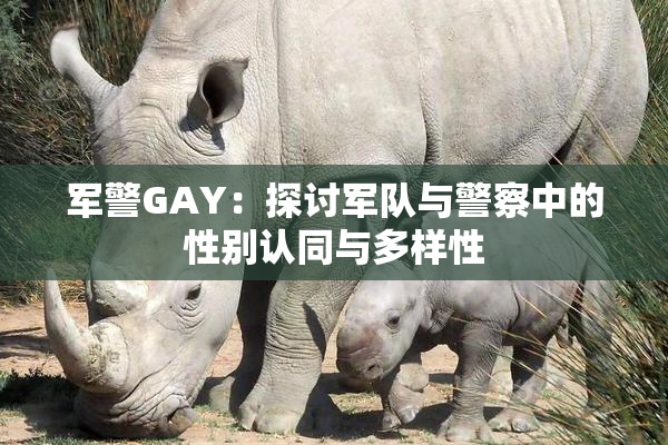 军警GAY：探讨军队与警察中的性别认同与多样性
