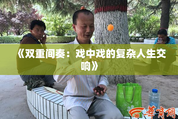《双重间奏：戏中戏的复杂人生交响》