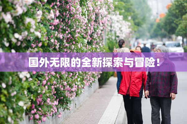 国外无限的全新探索与冒险！