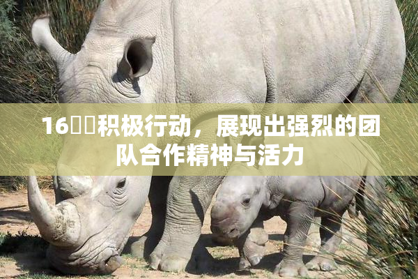 16妺妺积极行动，展现出强烈的团队合作精神与活力