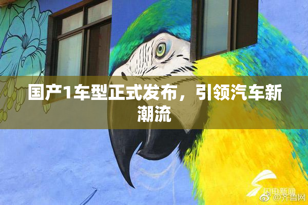 国产1车型正式发布，引领汽车新潮流