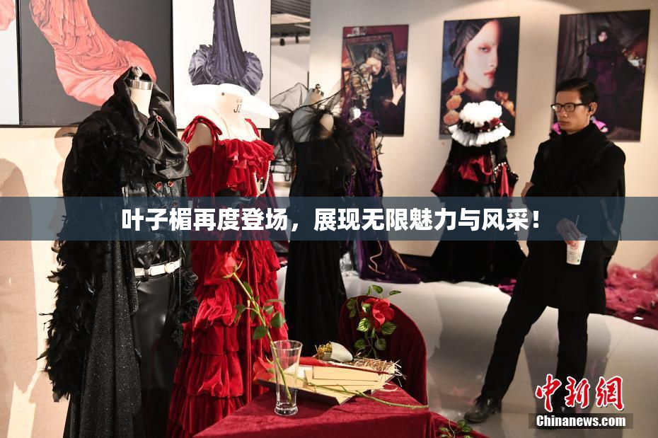 叶子楣再度登场，展现无限魅力与风采！