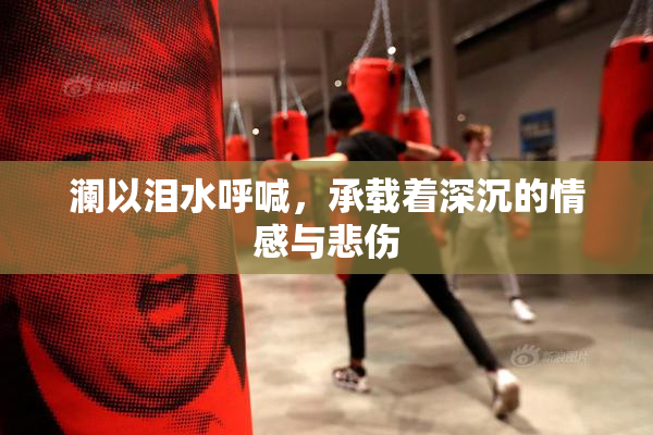 澜以泪水呼喊，承载着深沉的情感与悲伤