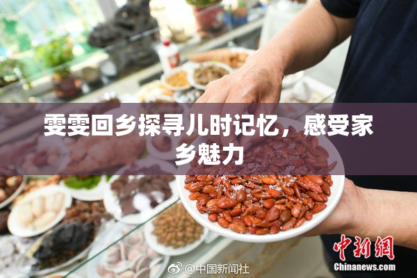 雯雯回乡探寻儿时记忆，感受家乡魅力