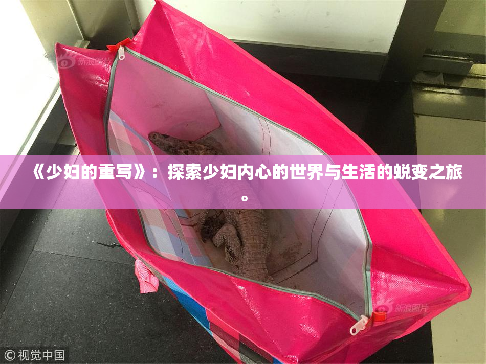《少妇的重写》：探索少妇内心的世界与生活的蜕变之旅。