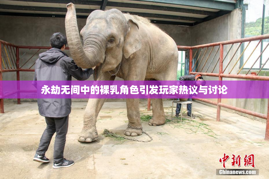 永劫无间中的裸乳角色引发玩家热议与讨论