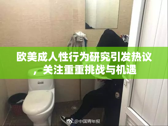 欧美成人性行为研究引发热议，关注重重挑战与机遇