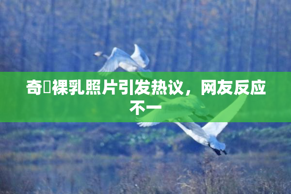 奇犽裸乳照片引发热议，网友反应不一