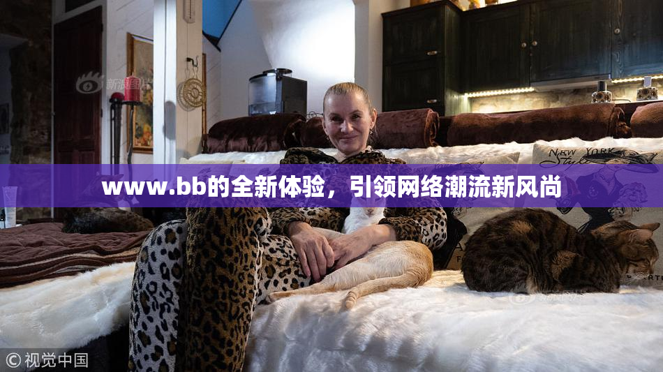 www.bb的全新体验，引领网络潮流新风尚