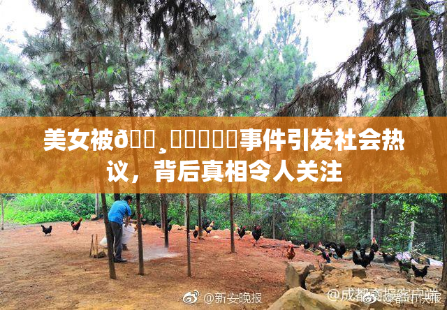美女被🌸‌❌‌❌‌事件引发社会热议，背后真相令人关注