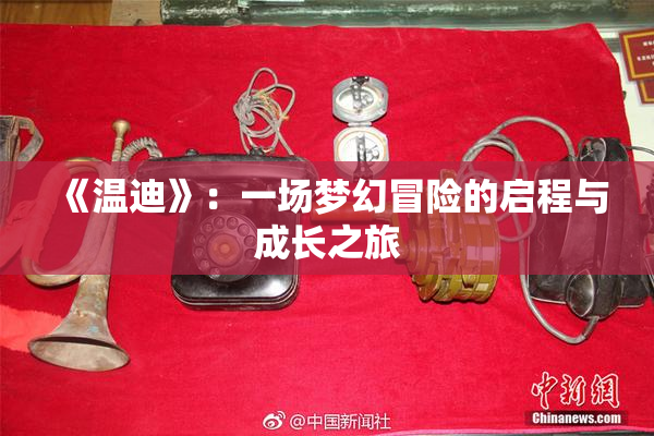 《温迪》：一场梦幻冒险的启程与成长之旅