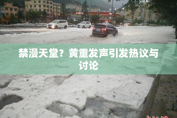 禁漫天堂？黄重发声引发热议与讨论