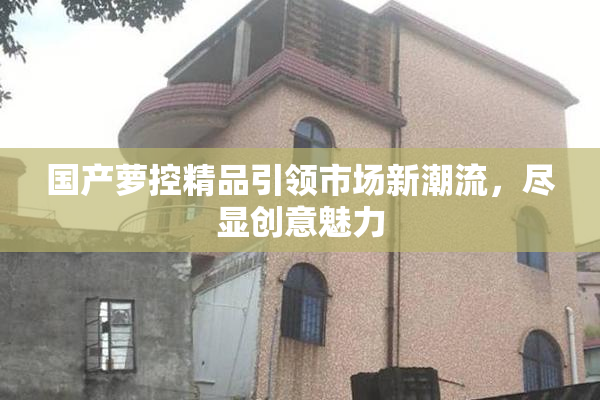 国产萝控精品引领市场新潮流，尽显创意魅力