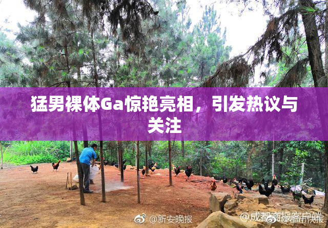 猛男裸体Ga惊艳亮相，引发热议与关注