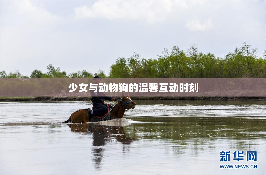 少女与动物狗的温馨互动时刻