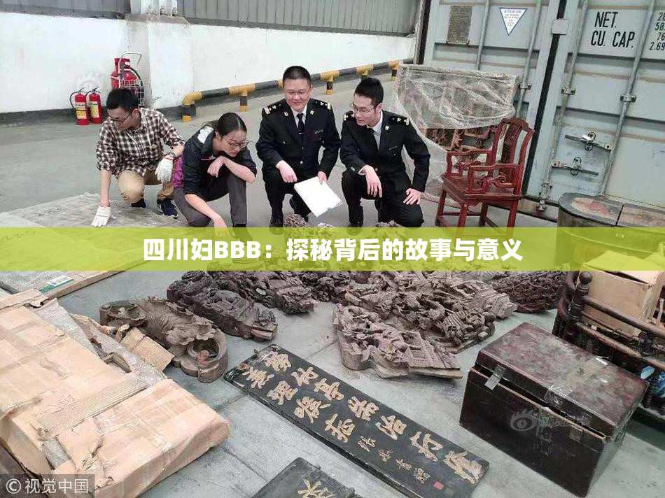 四川妇BBB：探秘背后的故事与意义