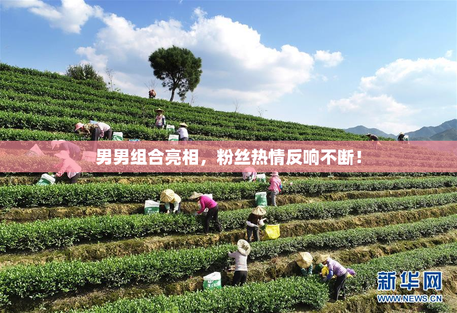 男男组合亮相，粉丝热情反响不断！