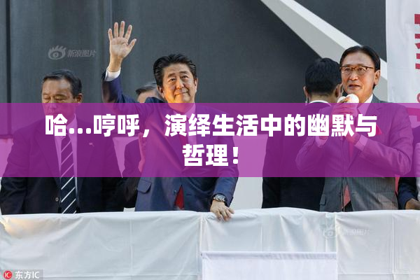 哈…哼呼，演绎生活中的幽默与哲理！