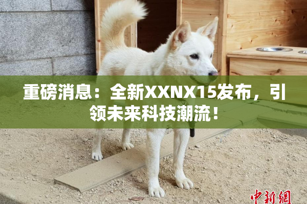 重磅消息：全新XXNX15发布，引领未来科技潮流！