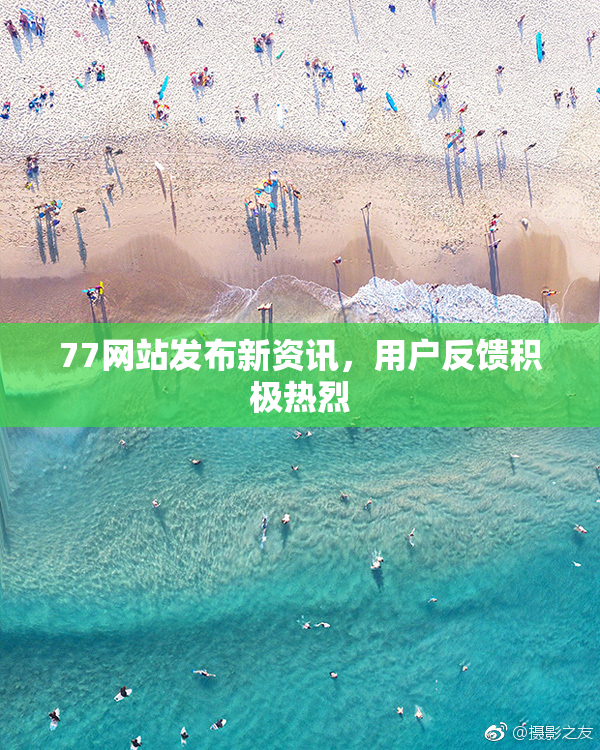 77网站发布新资讯，用户反馈积极热烈