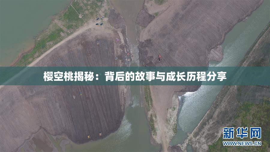 樱空桃揭秘：背后的故事与成长历程分享