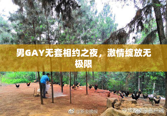 男GAY无套相约之夜，激情绽放无极限