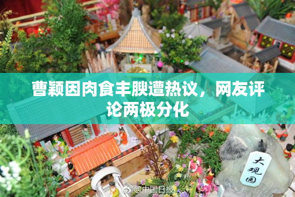 曹颖因肉食丰腴遭热议，网友评论两极分化
