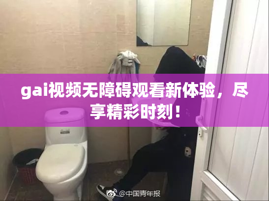 gai视频无障碍观看新体验，尽享精彩时刻！