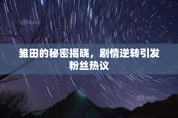 雏田的秘密揭晓，剧情逆转引发粉丝热议