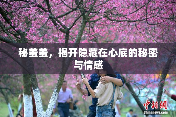 秘羞羞，揭开隐藏在心底的秘密与情感