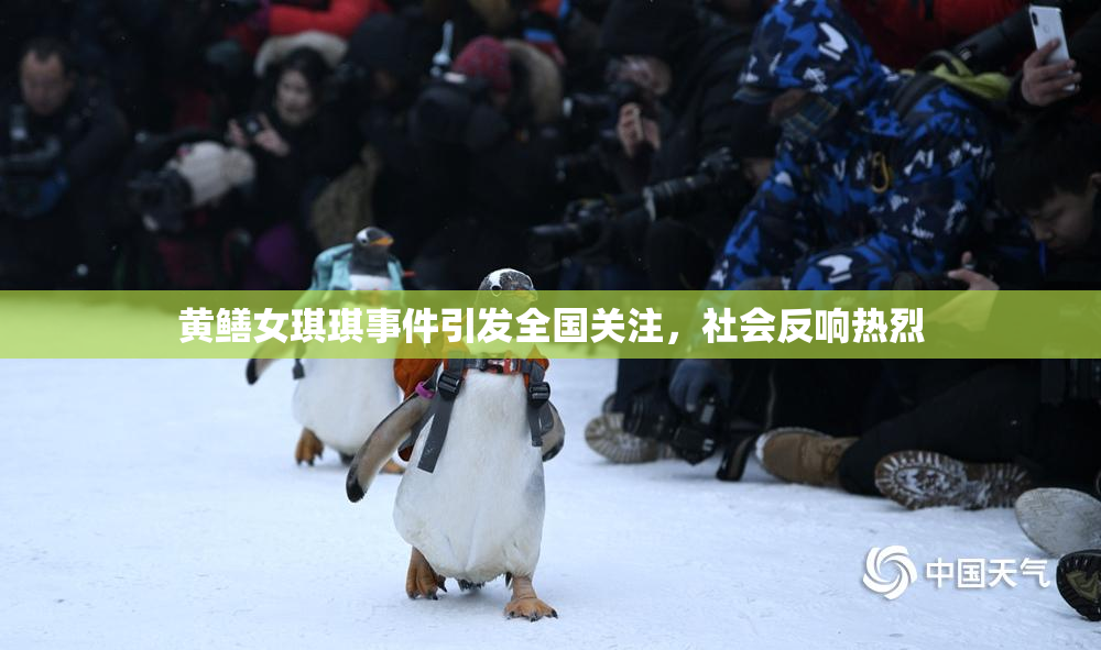黄鳝女琪琪事件引发全国关注，社会反响热烈