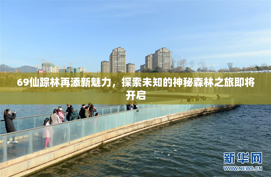 69仙踪林再添新魅力，探索未知的神秘森林之旅即将开启