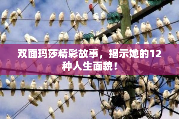 双面玛莎精彩故事，揭示她的12种人生面貌！