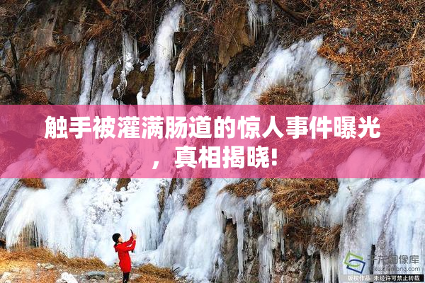 触手被灌满肠道的惊人事件曝光，真相揭晓!