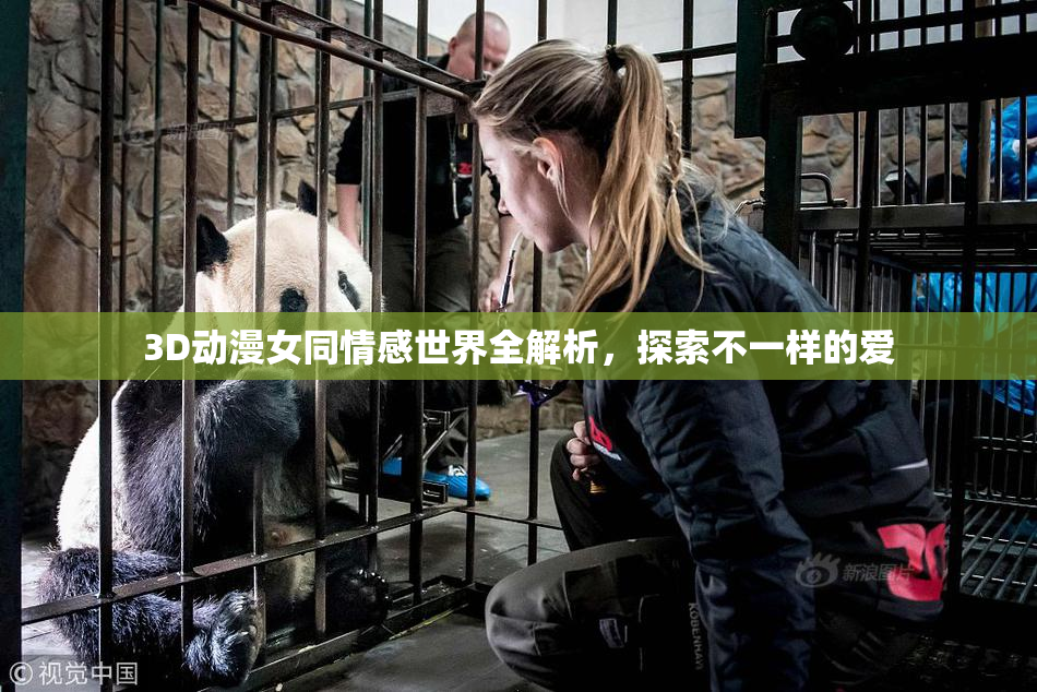 3D动漫女同情感世界全解析，探索不一样的爱