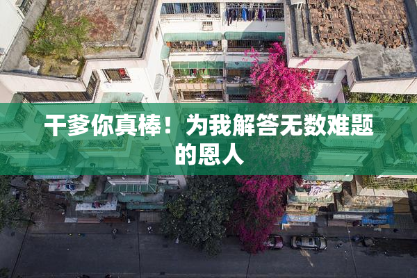 干爹你真棒！为我解答无数难题的恩人