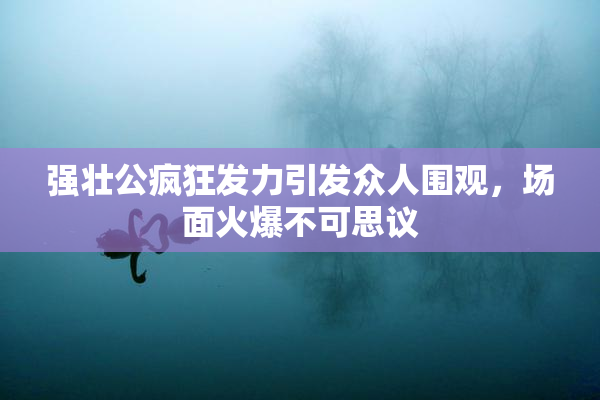 强壮公疯狂发力引发众人围观，场面火爆不可思议