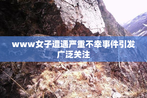 www女子遭遇严重不幸事件引发广泛关注