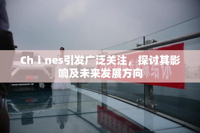 Chⅰnes引发广泛关注，探讨其影响及未来发展方向