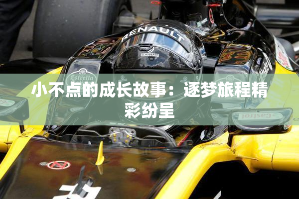 小不点的成长故事：逐梦旅程精彩纷呈