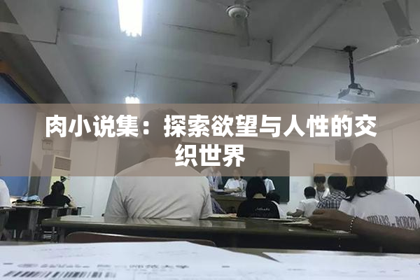 肉小说集：探索欲望与人性的交织世界