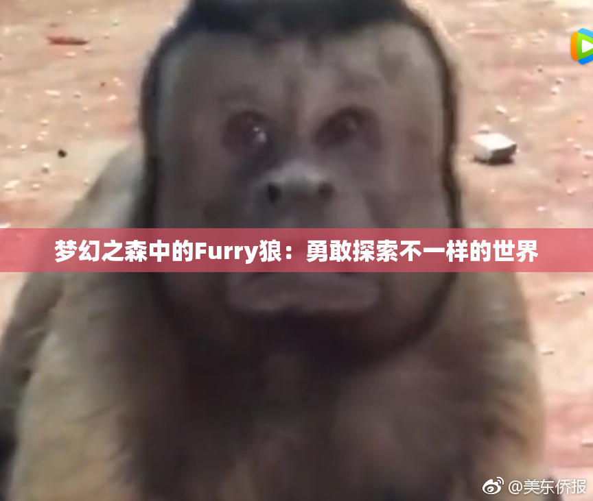 梦幻之森中的Furry狼：勇敢探索不一样的世界
