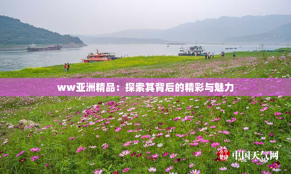 ww亚洲精品：探索其背后的精彩与魅力