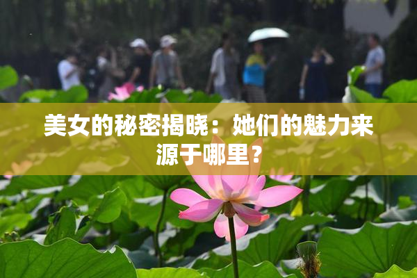 美女的秘密揭晓：她们的魅力来源于哪里？