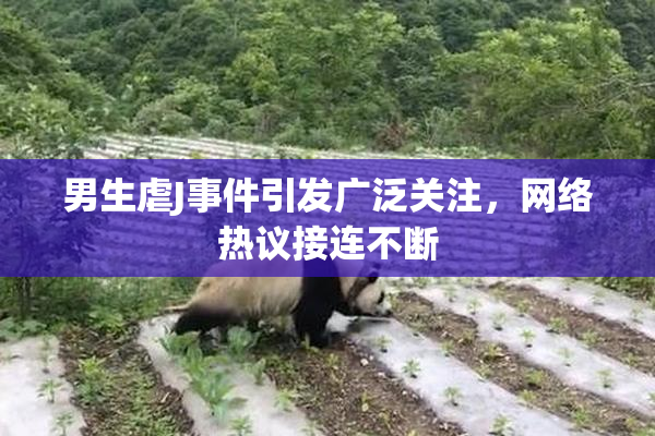 男生虐J事件引发广泛关注，网络热议接连不断