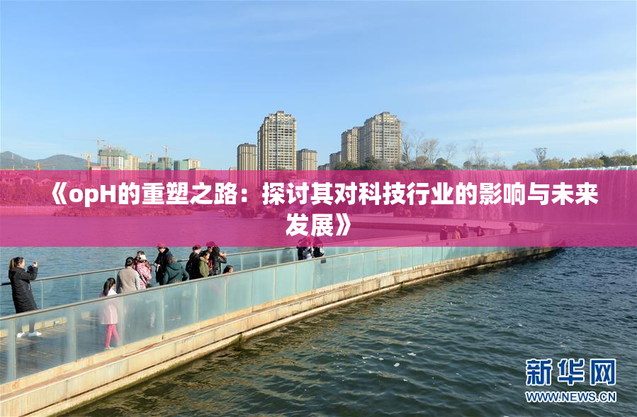 《opH的重塑之路：探讨其对科技行业的影响与未来发展》